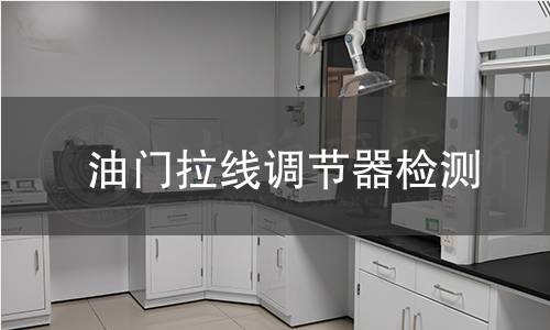 油门拉线调节器检测