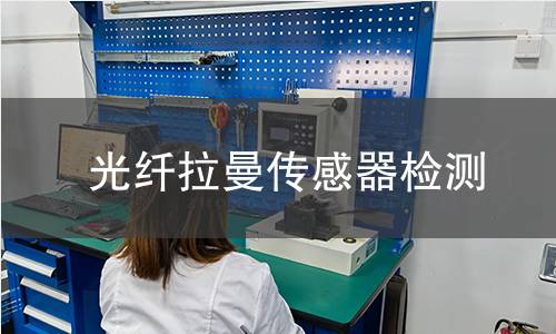 光纤拉曼传感器检测