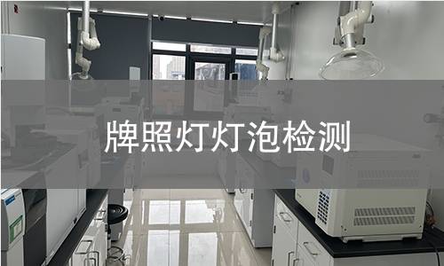 牌照灯灯泡检测