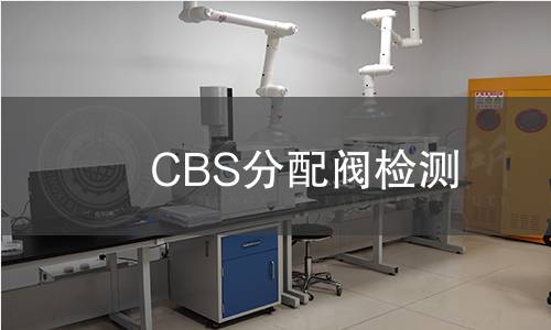 CBS分配阀检测