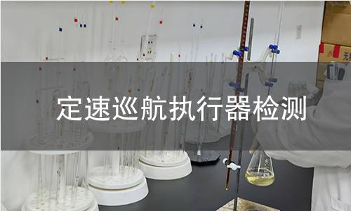 定速巡航执行器检测