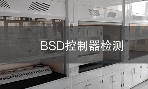 BSD控制器检测