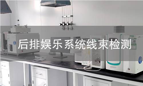 后排娱乐系统线束检测