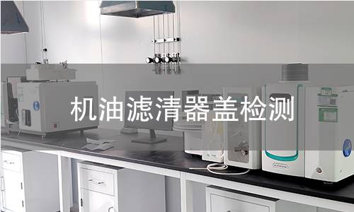 机油滤清器盖检测