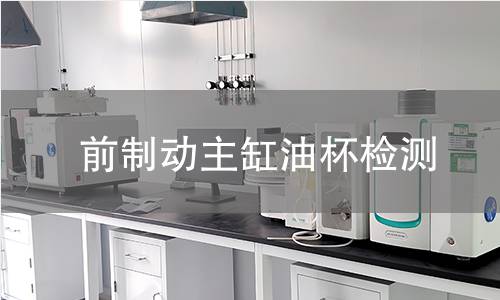 前制动主缸油杯检测