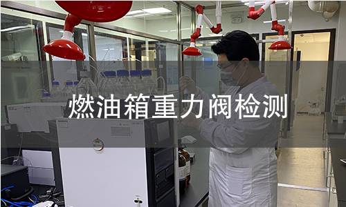 燃油箱重力阀检测