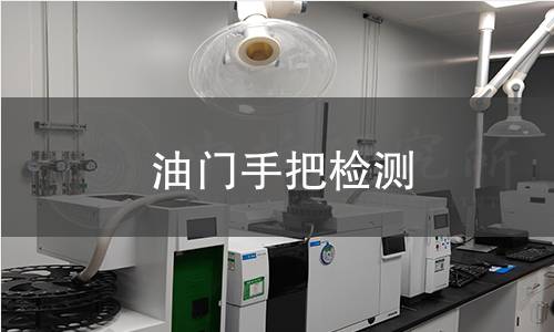 油门手把检测