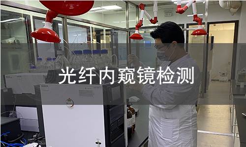 光纤内窥镜检测 光纤内窥镜检测
