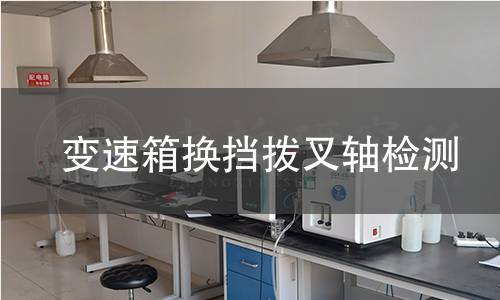 变速箱换挡拨叉轴检测