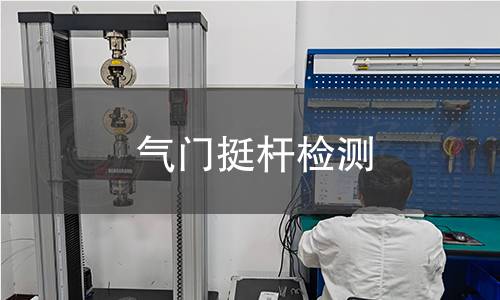 气门挺杆检测