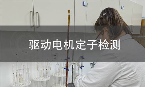 驱动电机定子检测