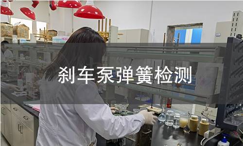 刹车泵弹簧检测