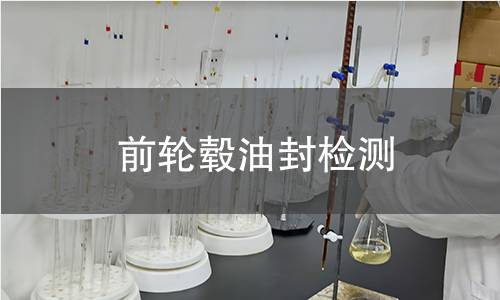 前轮毂油封检测