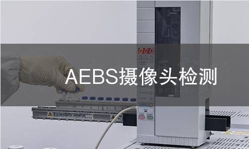 AEBS摄像头检测