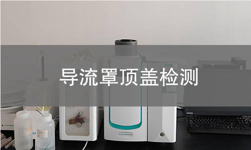 导流罩顶盖检测