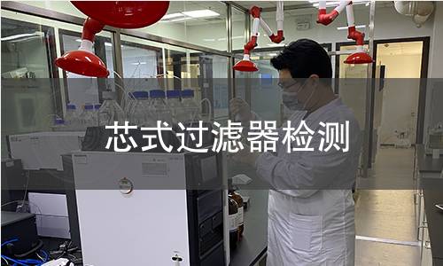 芯式过滤器检测