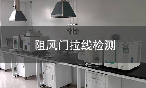阻风门拉线检测