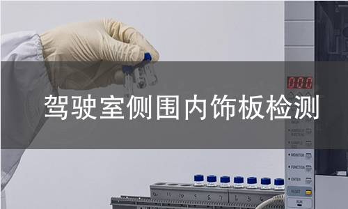 驾驶室侧围内饰板检测