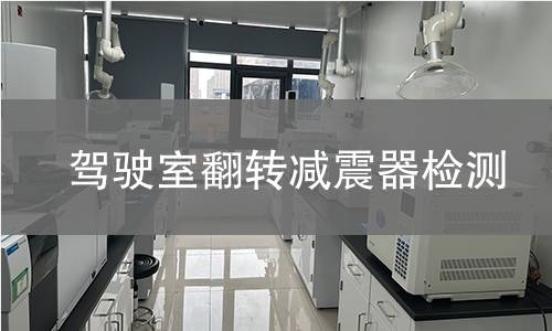 驾驶室翻转减震器检测