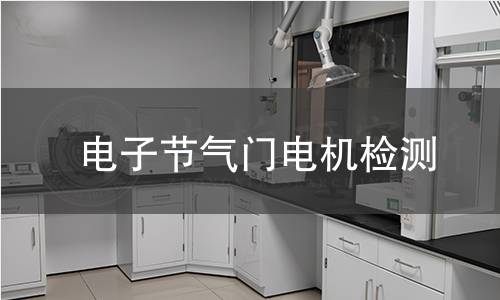 电子节气门电机检测