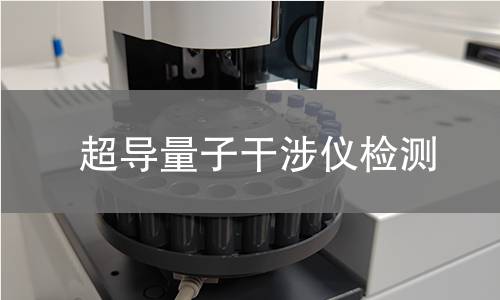 超导量子干涉仪检测