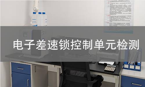 电子差速锁控制单元检测