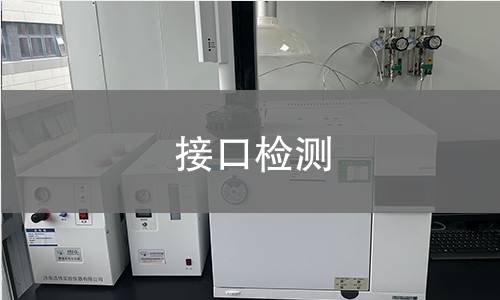 接口检测 接口检测