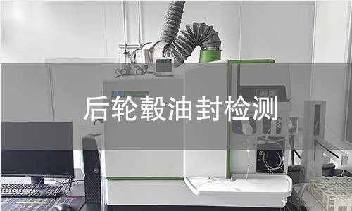 后轮毂油封检测 后轮毂油封检测