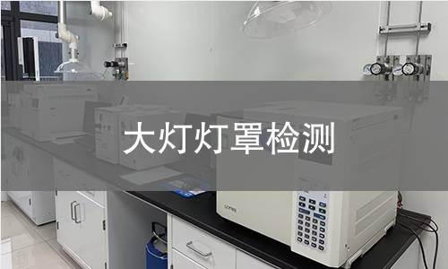 大灯灯罩检测