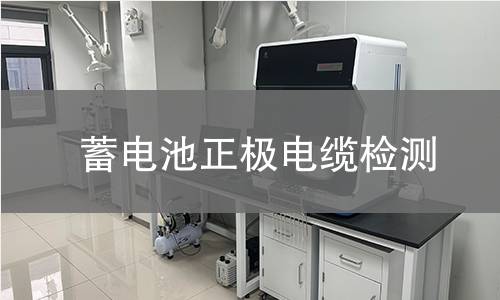 蓄电池正极电缆检测