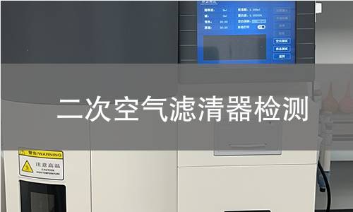 二次空气滤清器检测 二次空气滤清器检测