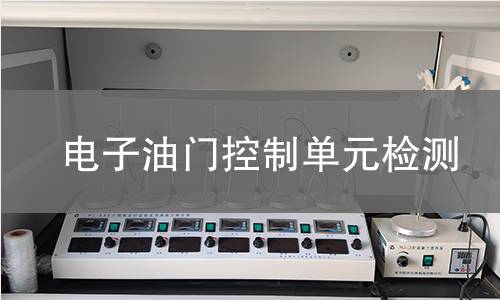 电子油门控制单元检测