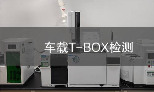 车载T-BOX检测