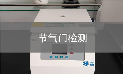 节气门检测