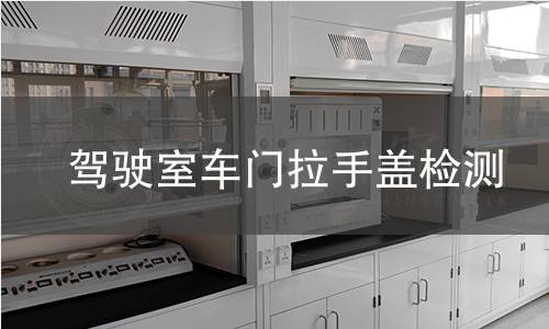 驾驶室车门拉手盖检测