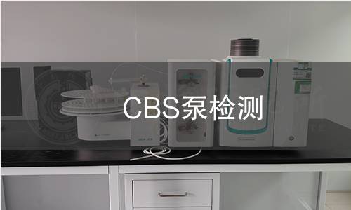 CBS泵检测