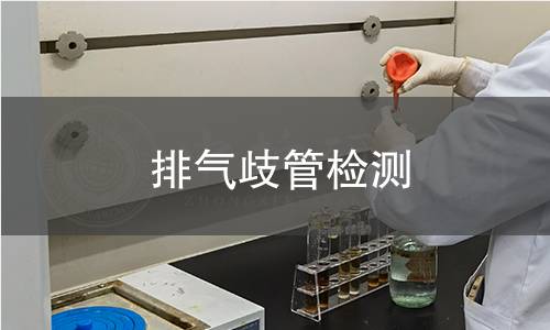 排气歧管检测