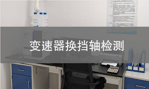 变速器换挡轴检测