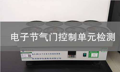 电子节气门控制单元检测