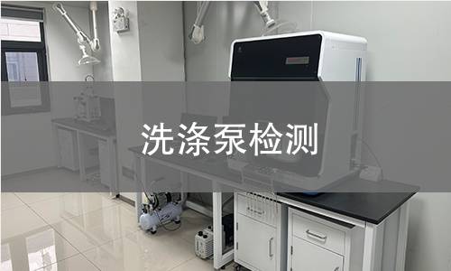 洗涤泵检测
