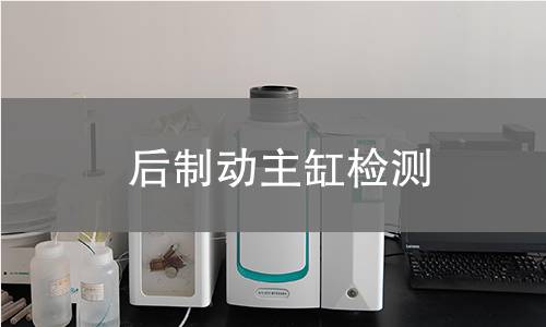 后制动主缸检测