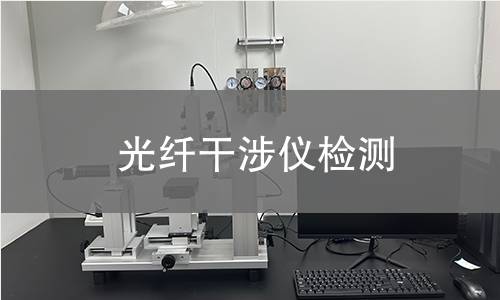 光纤干涉仪检测