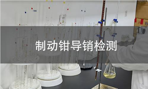 制动钳导销检测