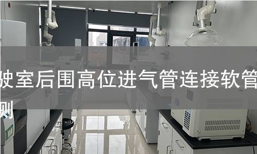 驾驶室后围高位进气管连接软管检测