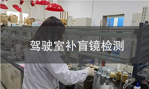 驾驶室补盲镜检测