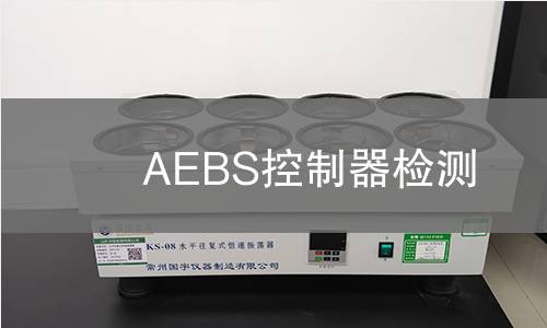 AEBS控制器检测