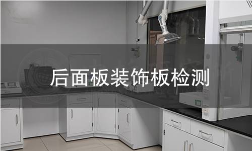 后面板装饰板检测