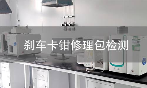 刹车卡钳修理包检测