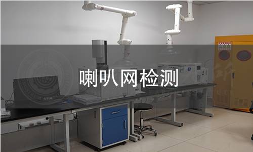 喇叭网检测