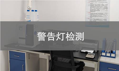 警告灯检测